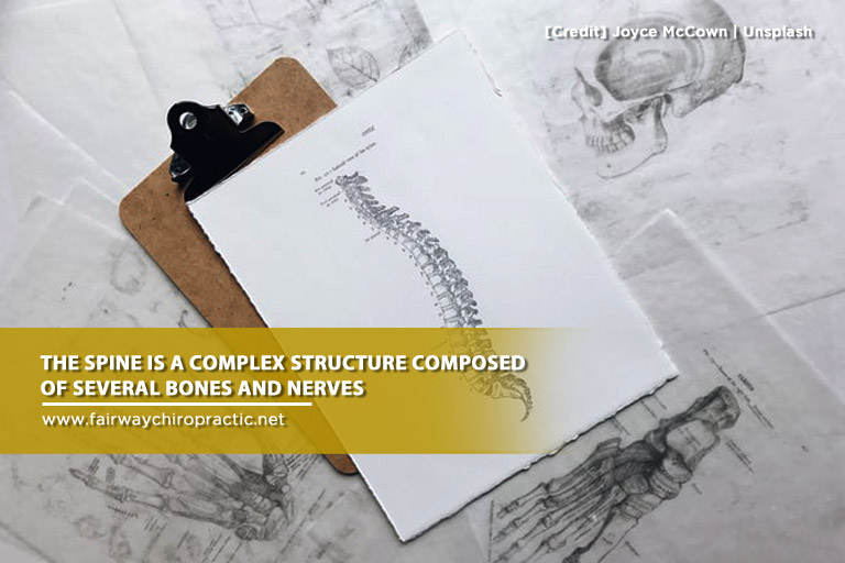spine is a complex structure