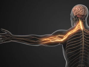 Can a Herniated Disc Heal on Its Own? What the Research Shows