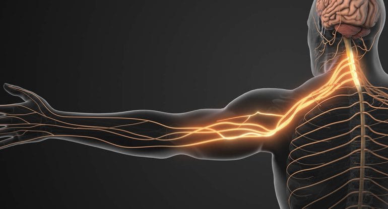 Can a Herniated Disc Heal on Its Own? What the Research Shows